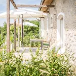 Ferienhaus Winzarei, Weingut Tement Berghausen