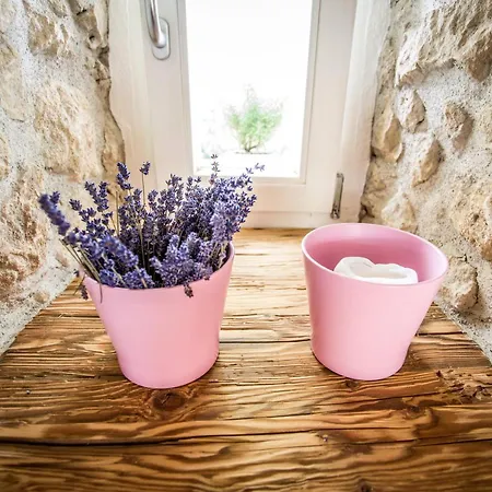 Winzarei, Weingut Tement