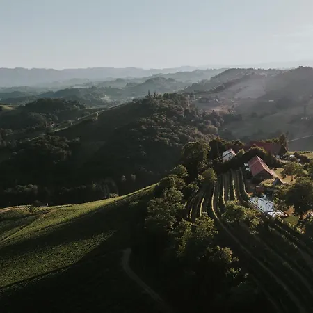 Winzarei, Weingut Tement Berghausen