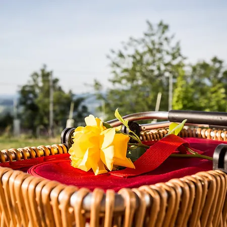 Casa de Férias Winzarei, Weingut Tement *