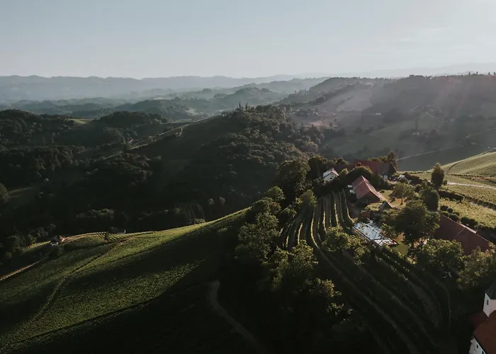 Winzarei, Weingut Tement Berghausen